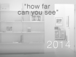 how far can you see